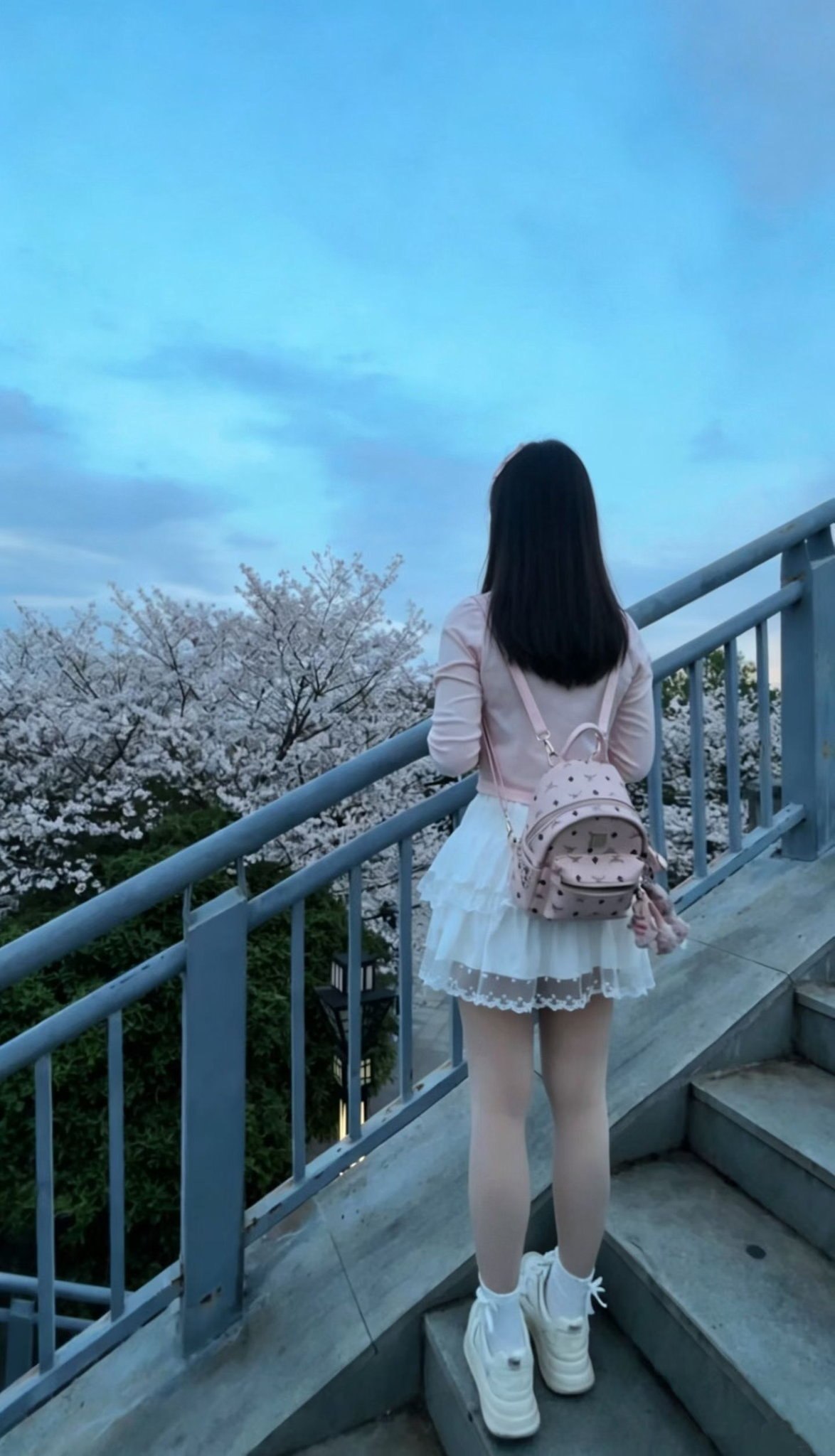 江西 编号： 255265 （260903）
