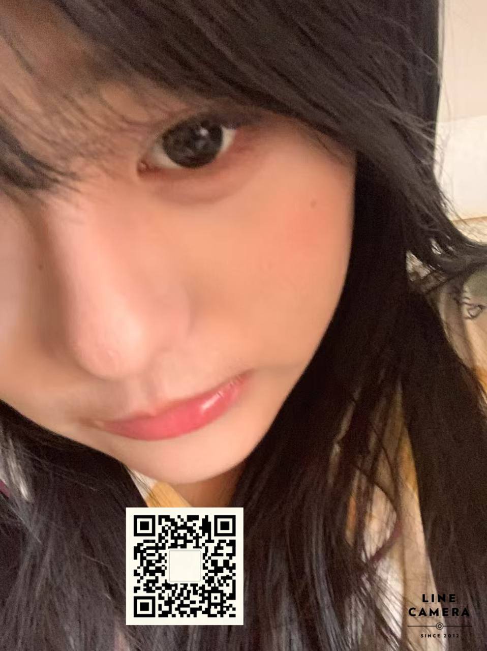 吉林 编号：817646 (点击复制)
➡️ 