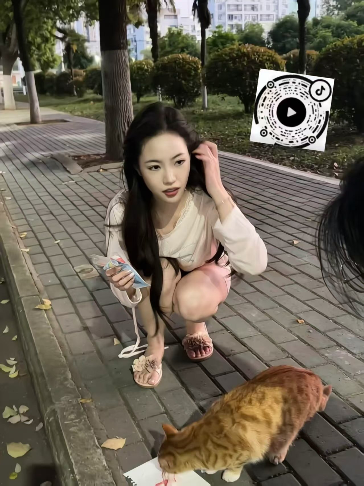 吉林 长春 编号：902600 (点击复制)
➡️ 