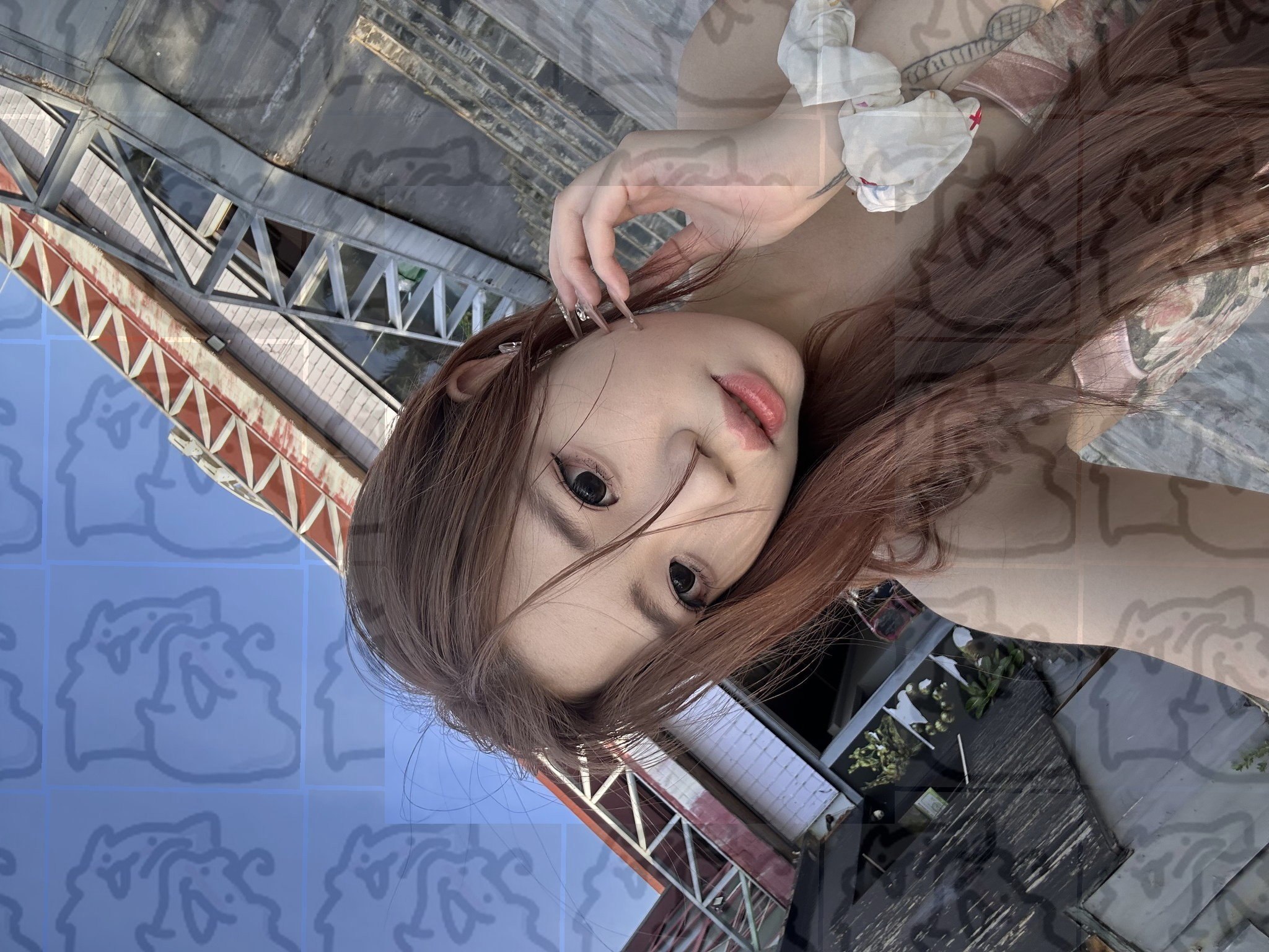 辽宁 沈阳 编号：212808 (点击复制)
➡️ 