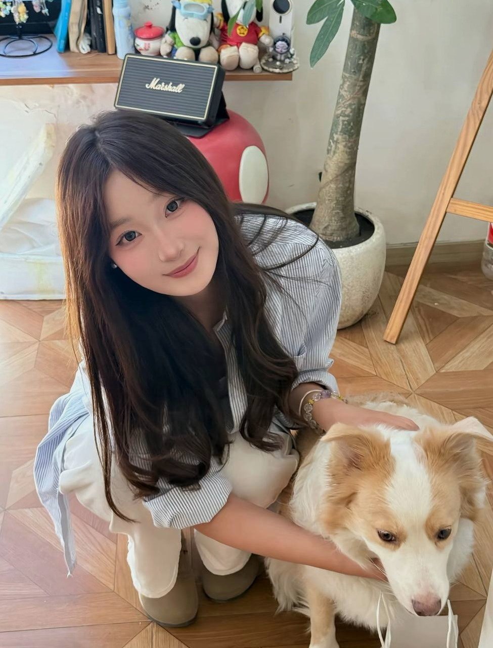 辽宁 大连 编号：972722 (点击复制)
➡️ 