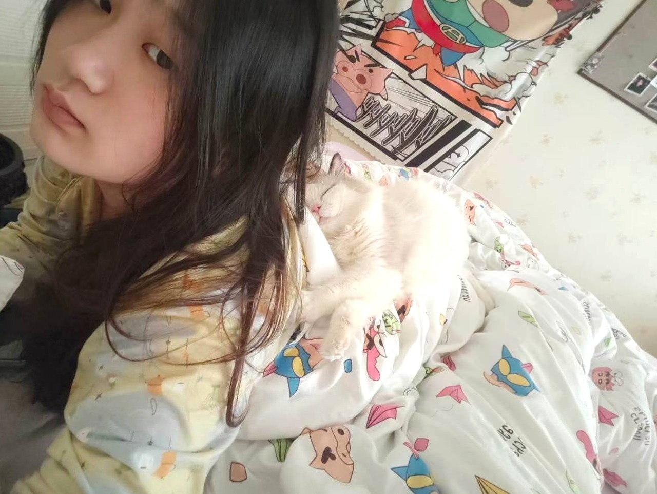 辽宁 沈阳 编号：023732 (点击复制)
➡️ 