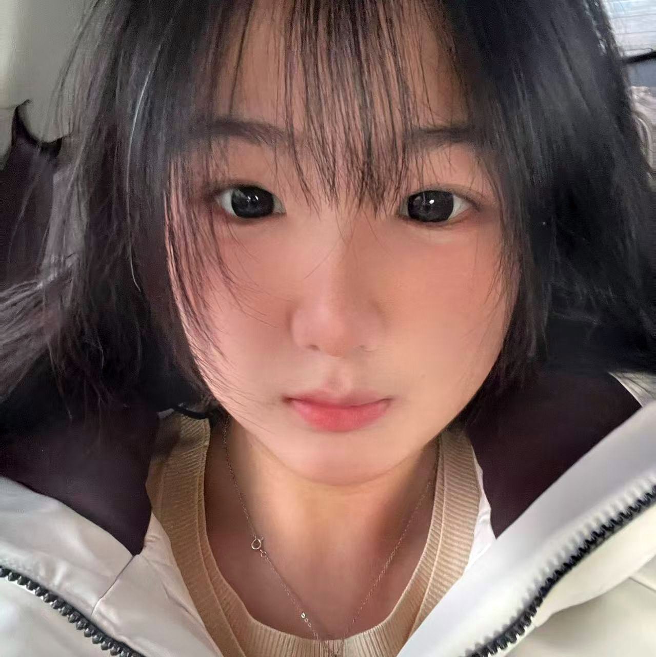 辽宁 沈阳 编号： 962911 （260829）
