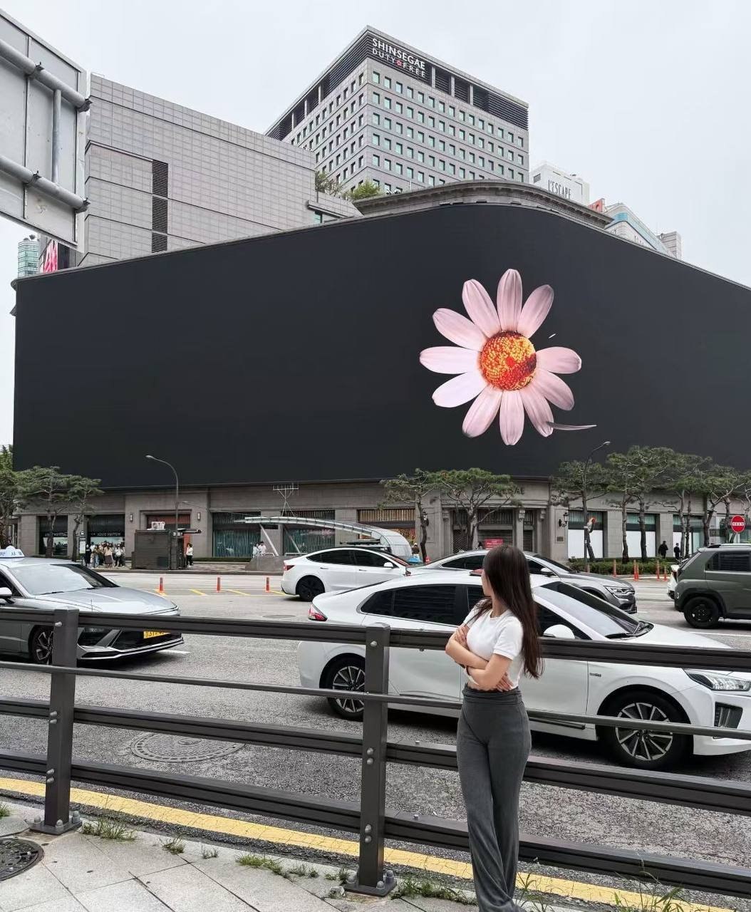 辽宁 鞍山 编号：571530 (点击复制)
➡️ 