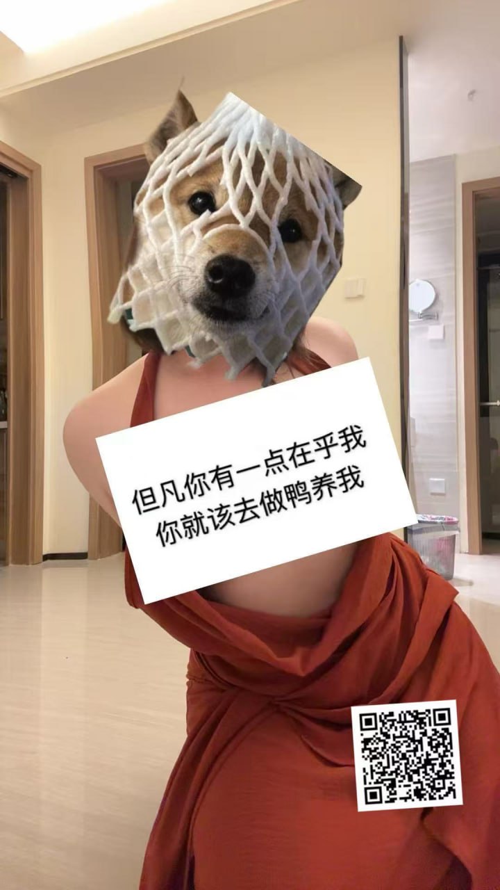 内蒙 呼和浩特 编号：451304 (点击复制)
➡️ 