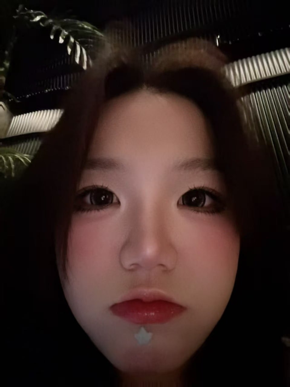 内蒙 鄂尔多斯 编号：544031 (点击复制)
➡️ 