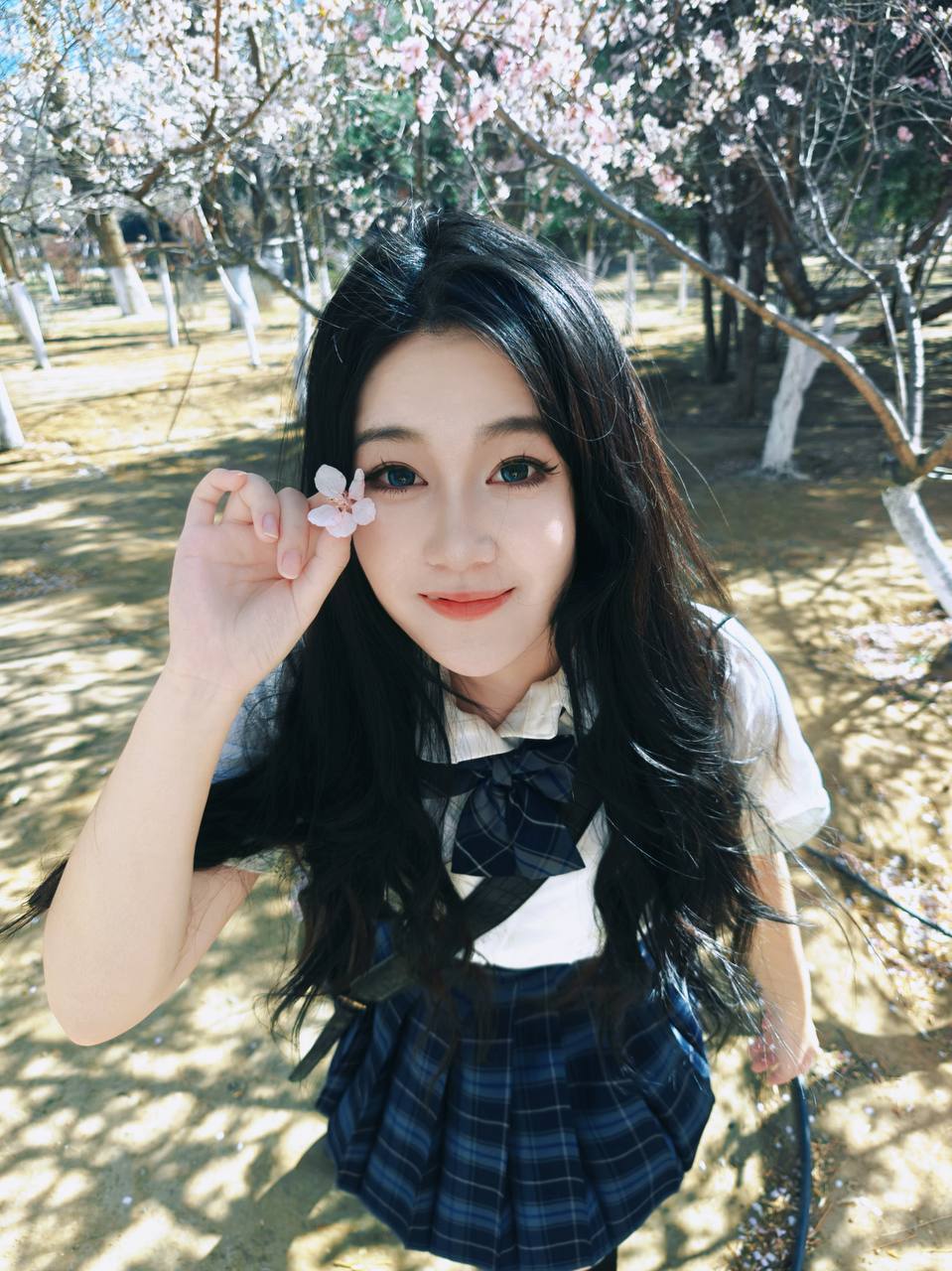 内蒙 呼和浩特 编号：037806 (点击复制)
➡️ 