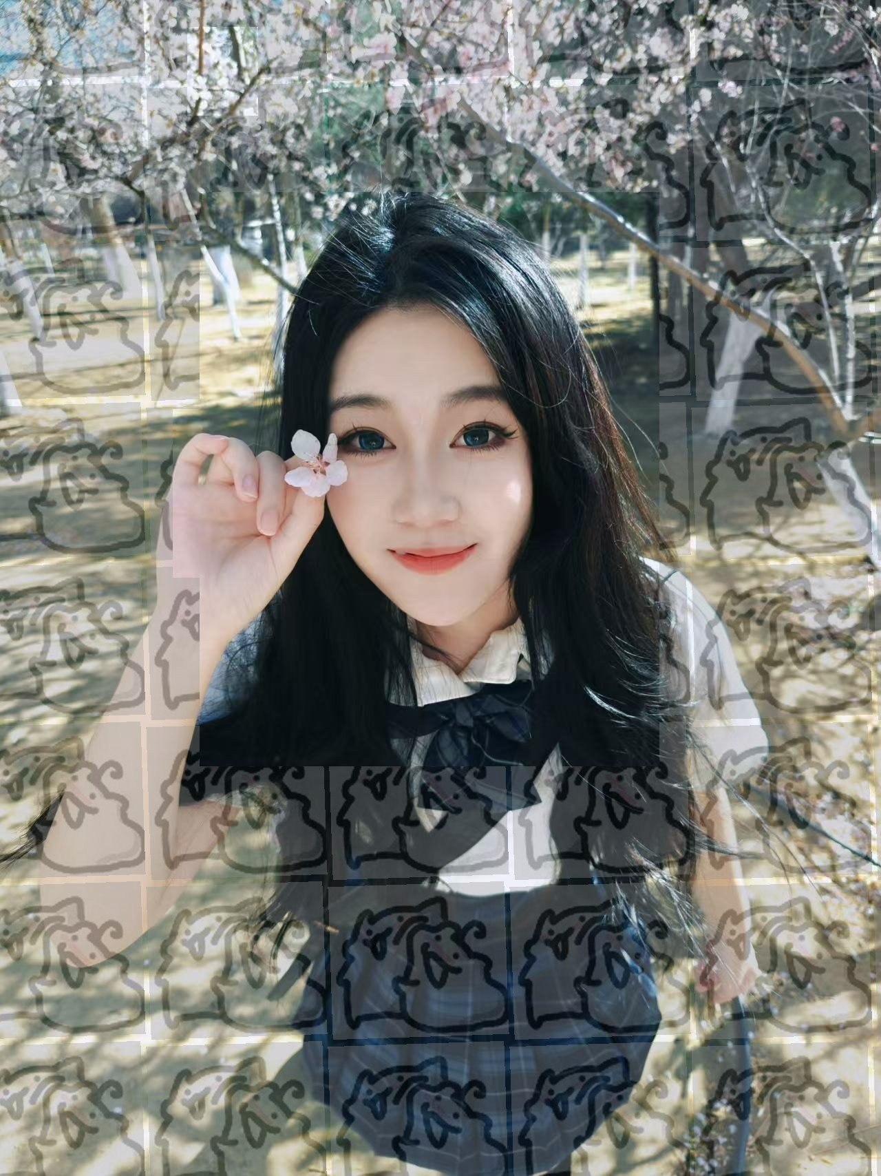 内蒙 呼和浩特 编号：331176 (点击复制)
➡️ 