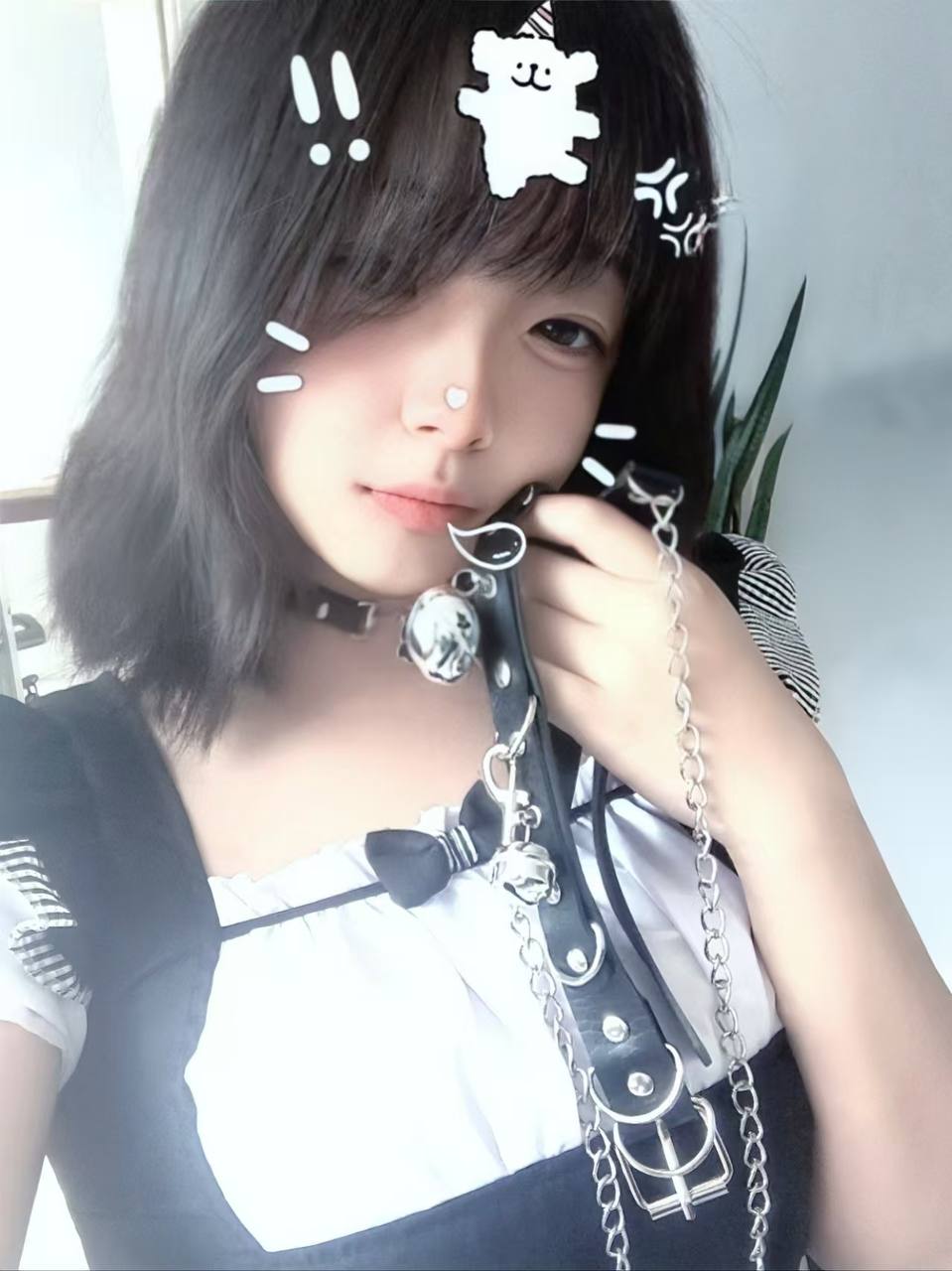 内蒙 编号：483538 (点击复制)
➡️ 
