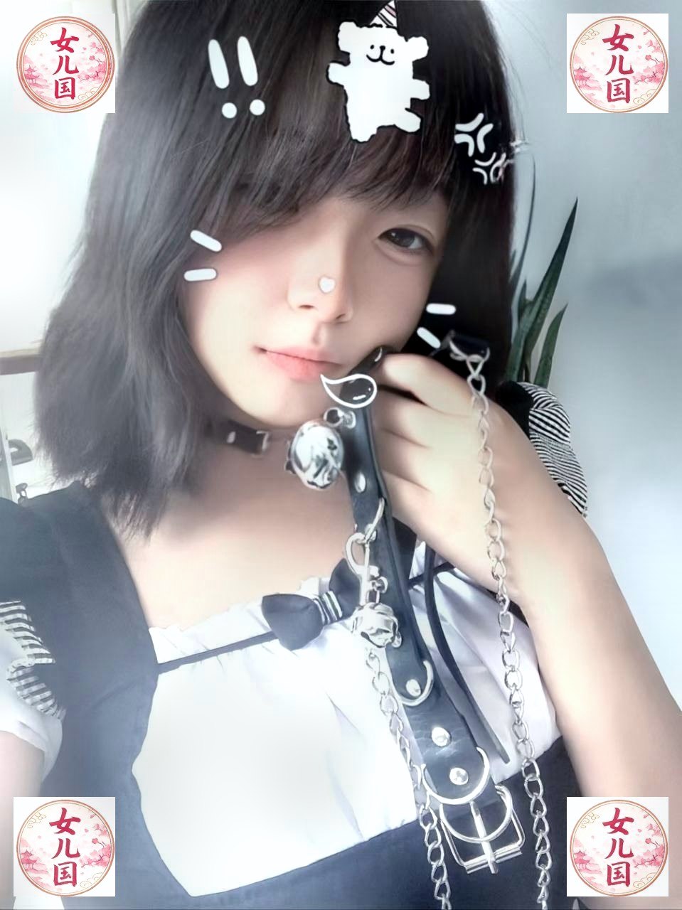 内蒙 编号： 465693 （260902）
