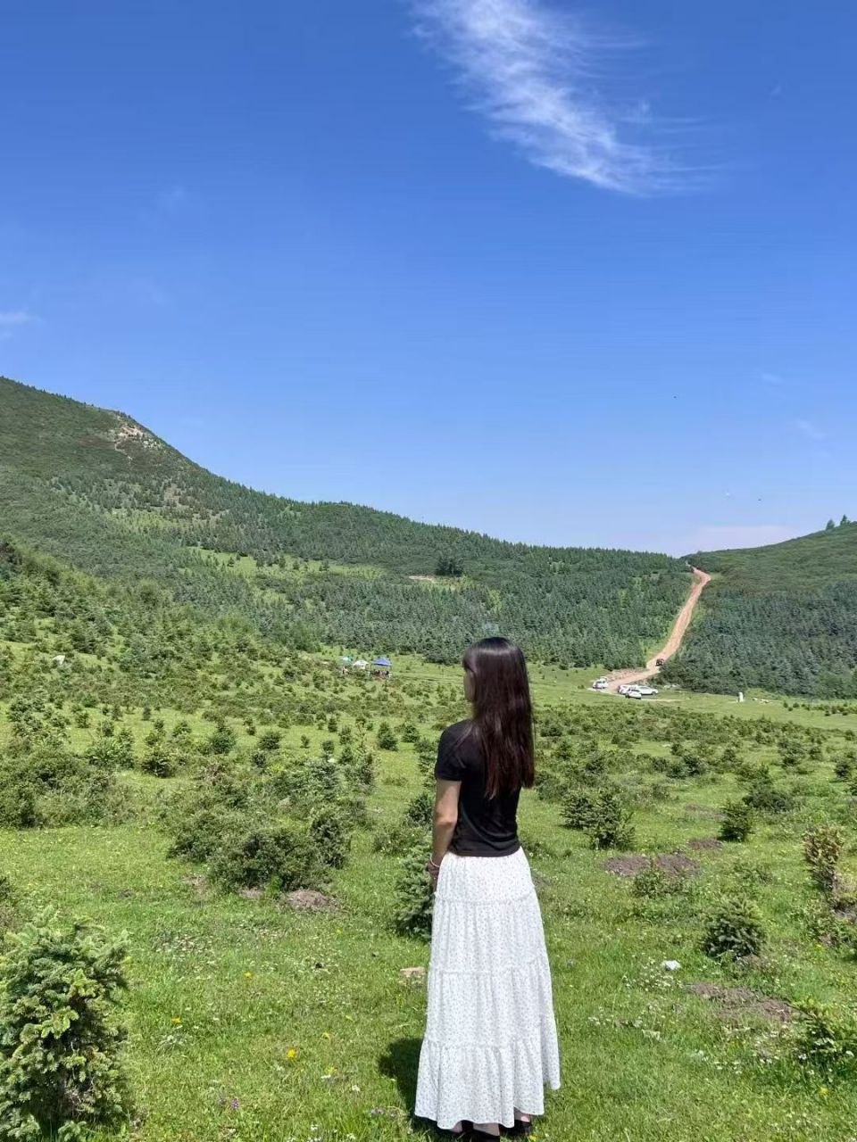 青海 西宁 编号：062981 (点击复制)
➡️ 