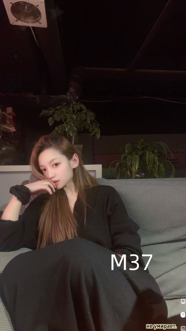 青海 编号：876567 (点击复制)
➡️ 