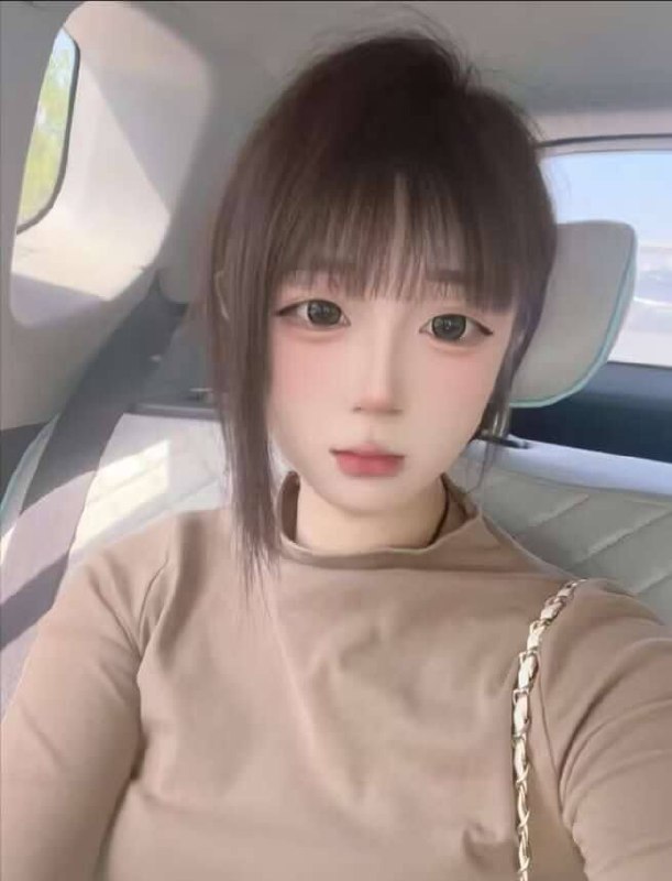 山东 编号：308595 (点击复制)
➡️ 