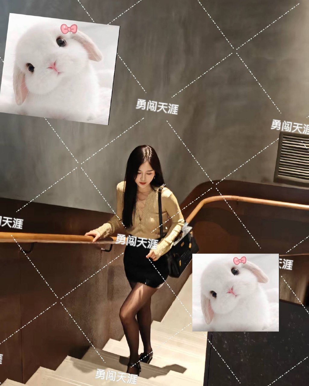 山东 东营 编号：177059 (点击复制)
➡️ 