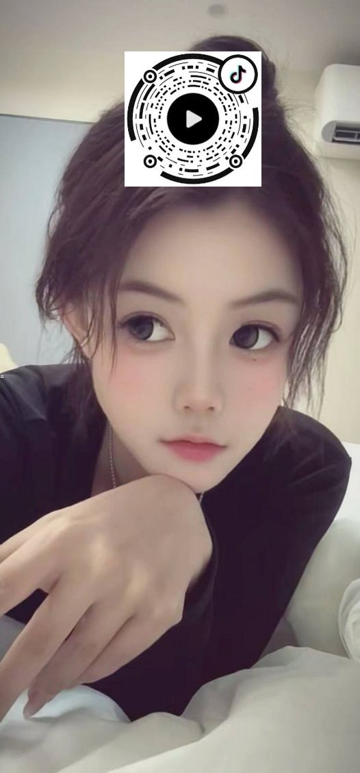 山东 淄博 编号： 698582 （260828）

