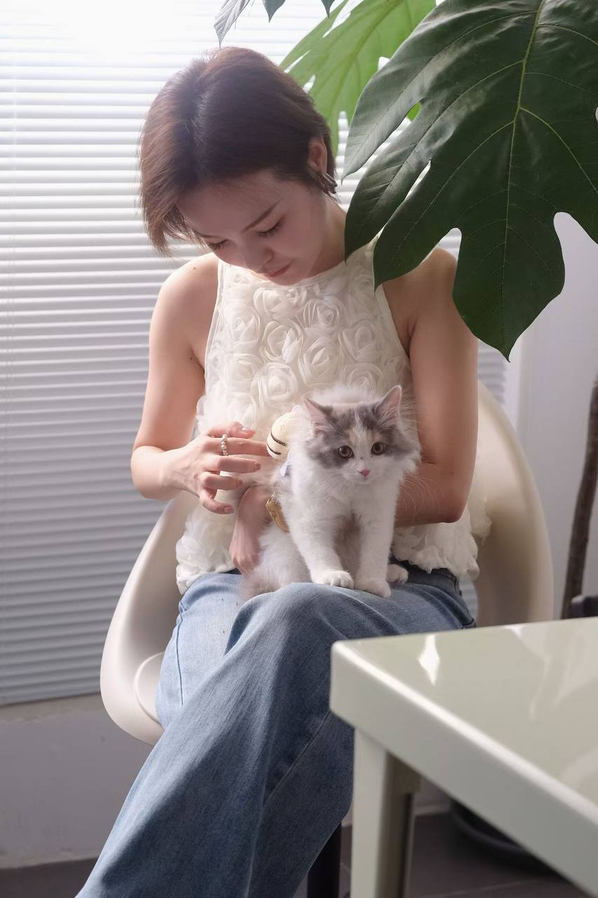 上海 编号：977813 (点击复制)
➡️ 