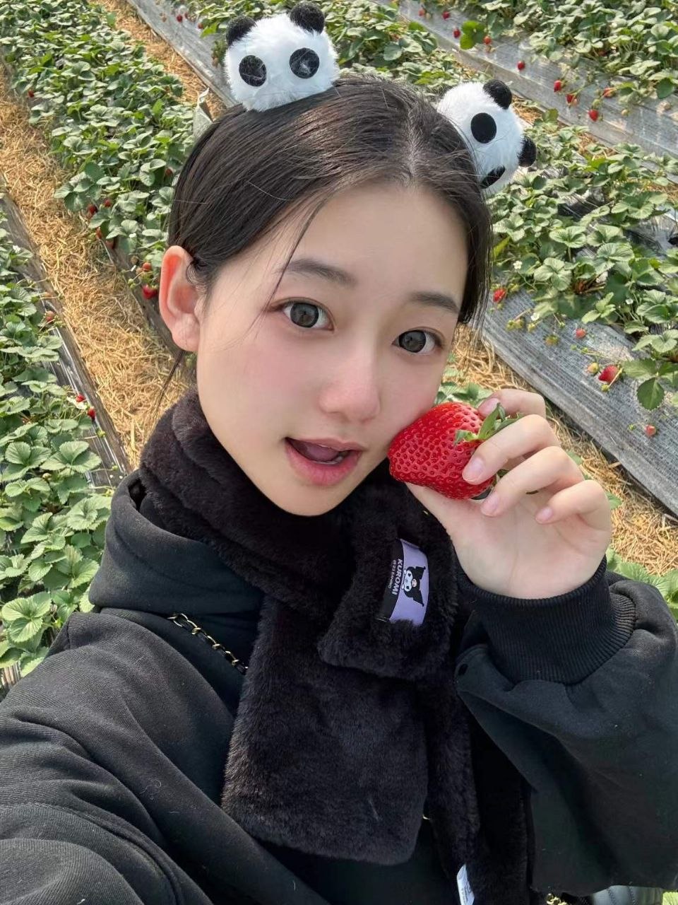 上海 编号：496153 (点击复制)
➡️ 