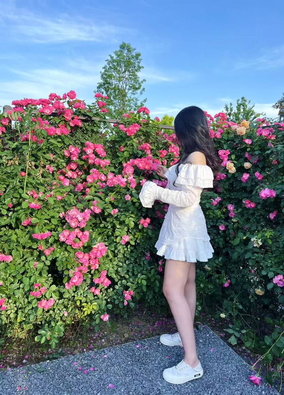 上海 编号：914123 (点击复制)
➡️ 