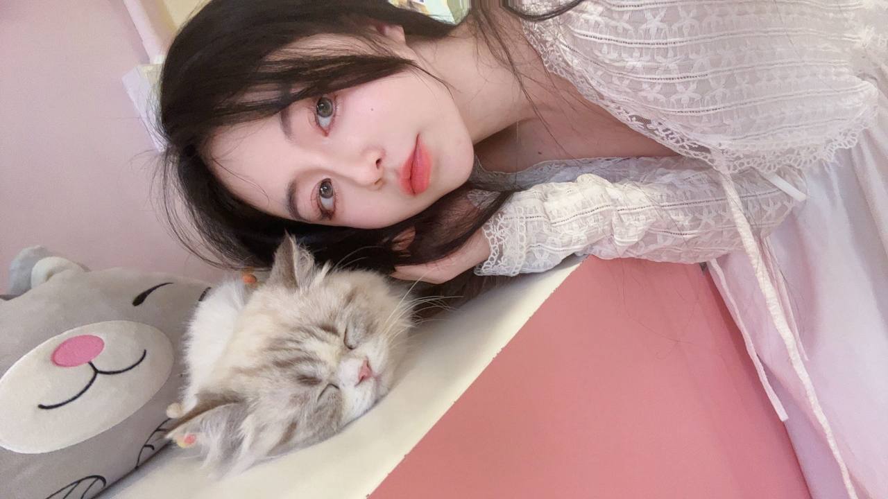 上海 编号：883932 (点击复制)
➡️ 