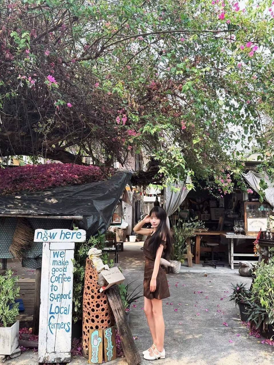 上海 编号：247335 (点击复制)
➡️ 