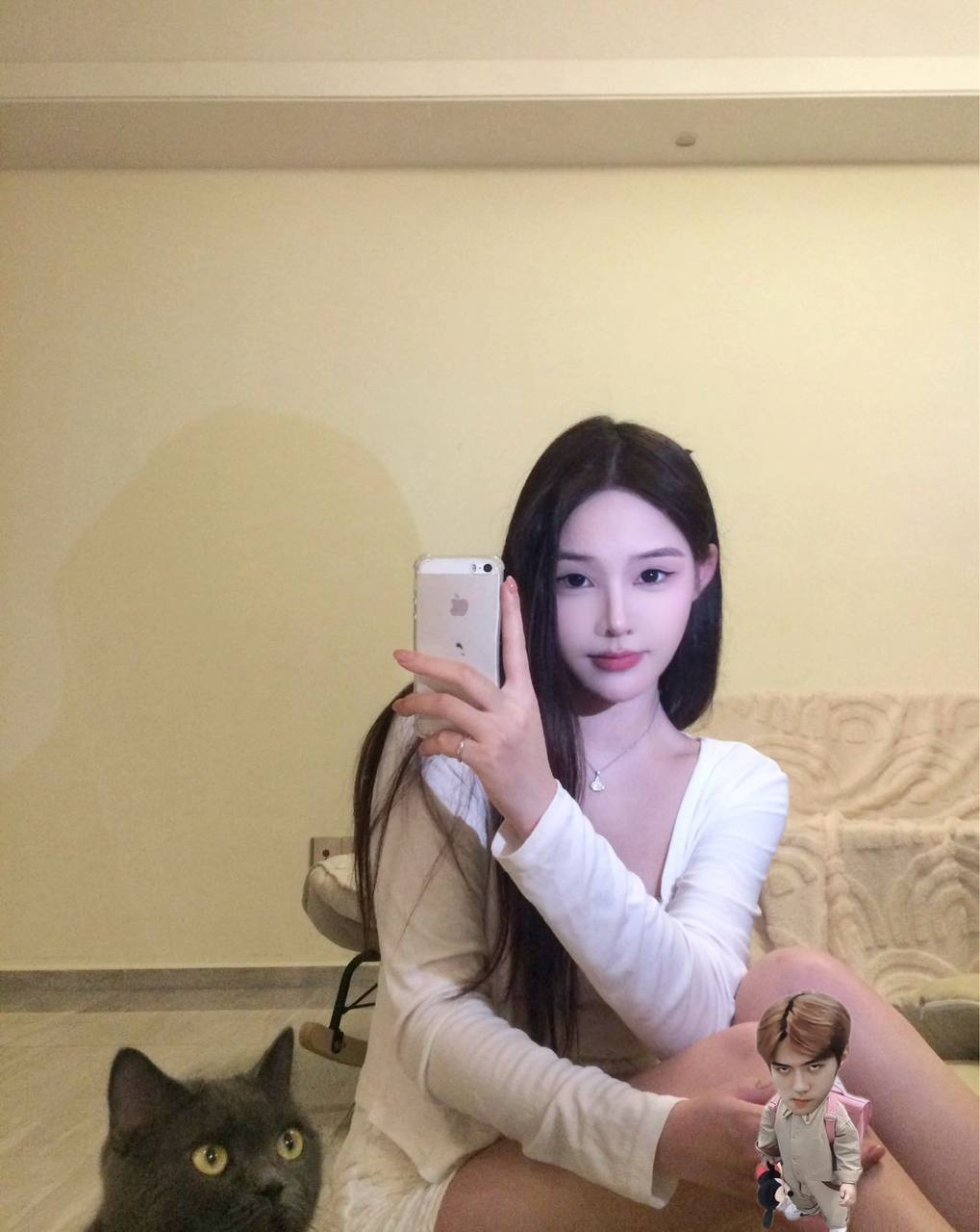 上海 编号：363521 (点击复制)
➡️ 