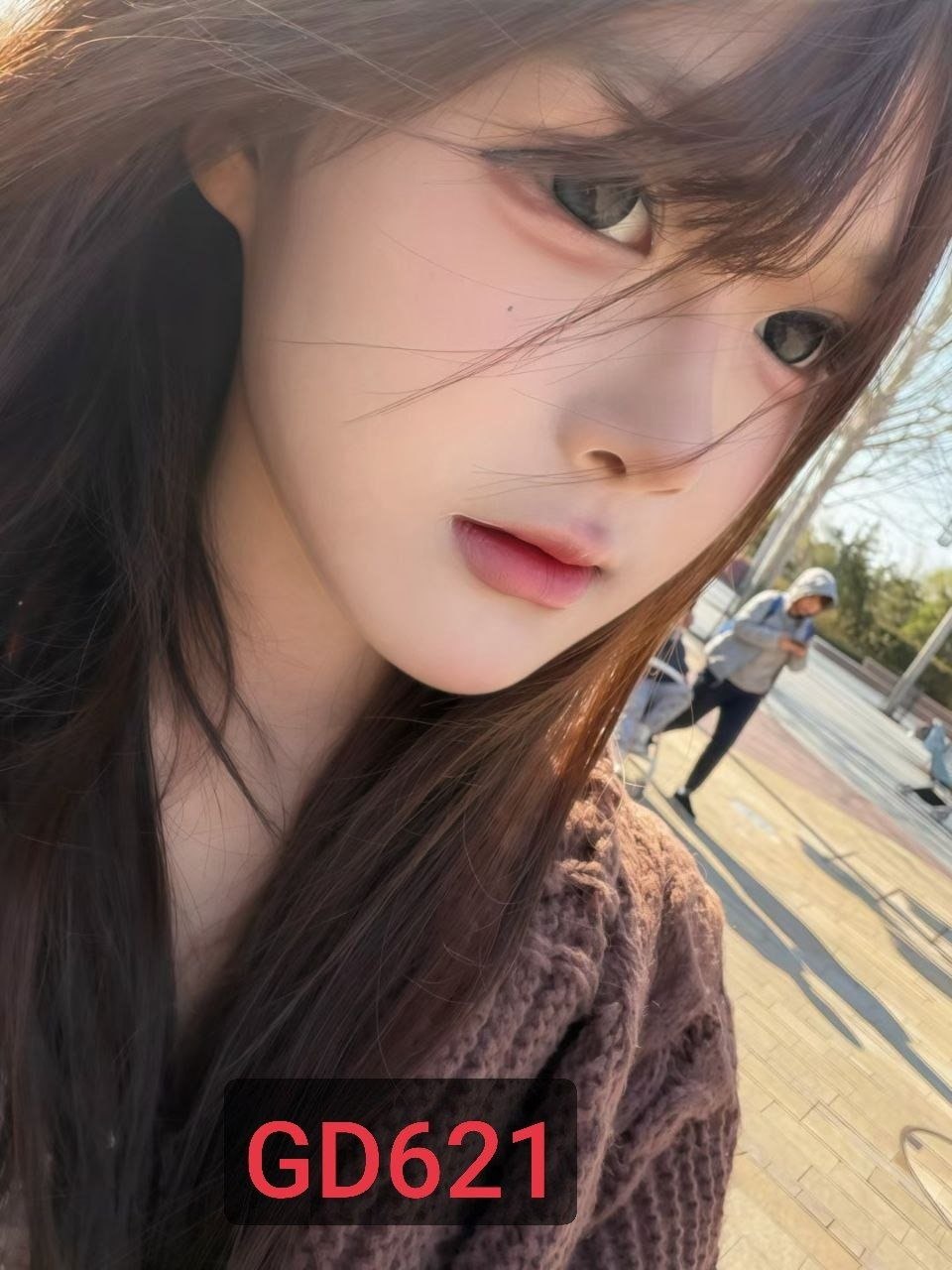 上海 编号：706117 (点击复制)
➡️ 