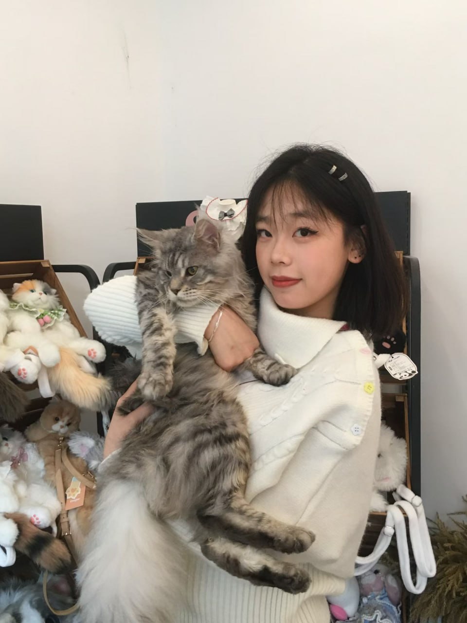 上海 编号：698016 (点击复制)
➡️ 