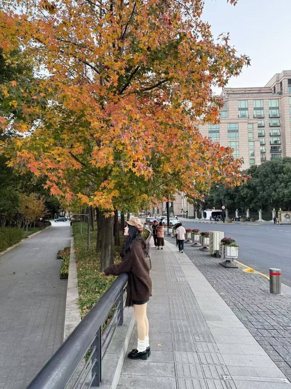 上海 编号：681068 (点击复制)
➡️ 