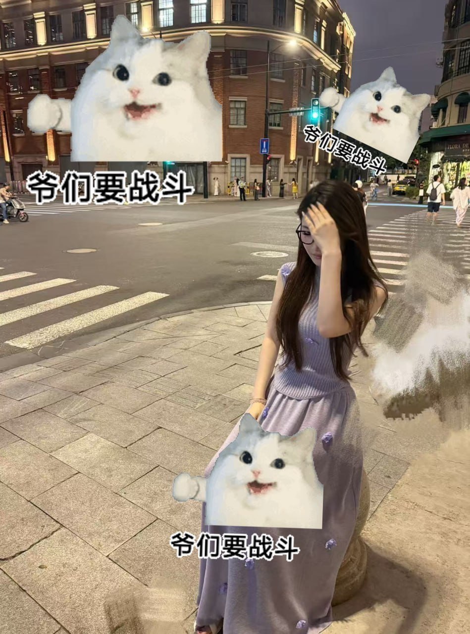 上海 编号：986913 (点击复制)
➡️ 
