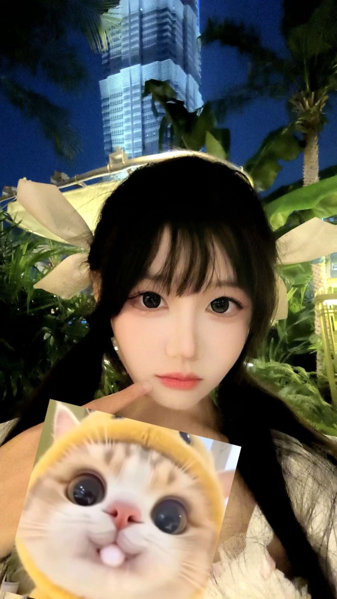 上海 编号：326171 (点击复制)
➡️ 
