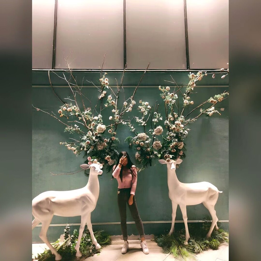 陕西 西安 编号：828394 (点击复制)
➡️ 