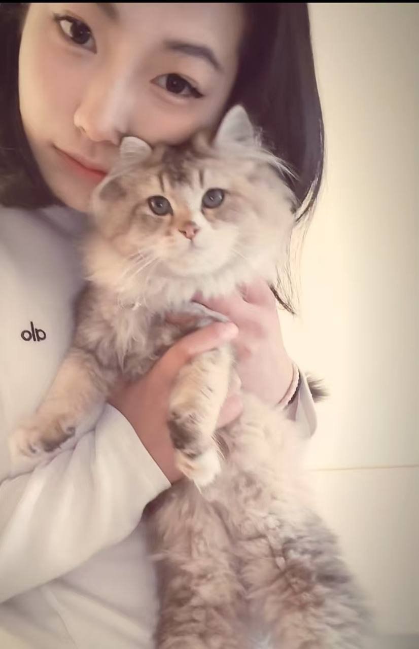 陕西 西安 编号：964118 (点击复制)
➡️ 