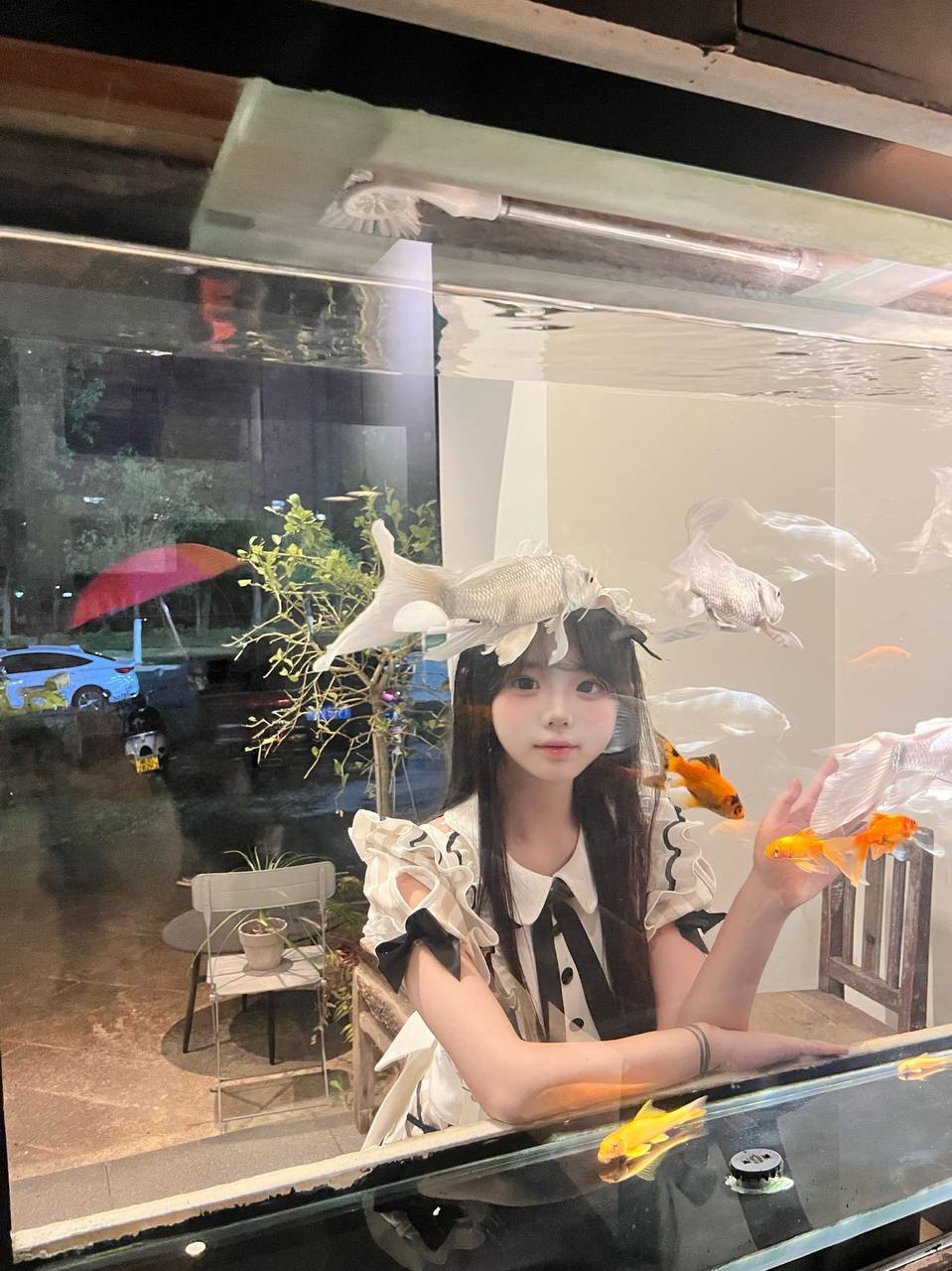 山西 运城 编号：481424 (点击复制)
➡️ 