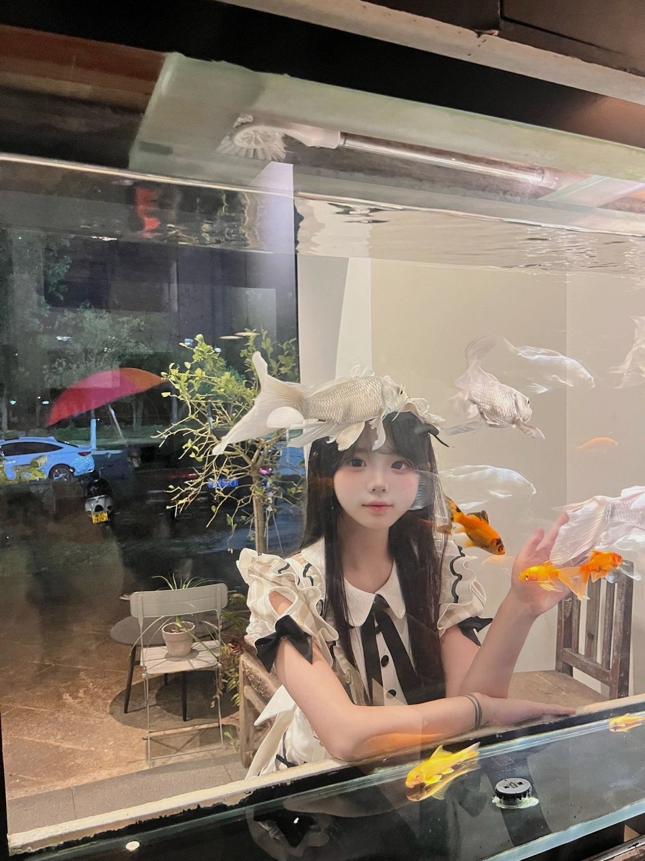 山西 运城 编号：422658 (点击复制)
➡️ 