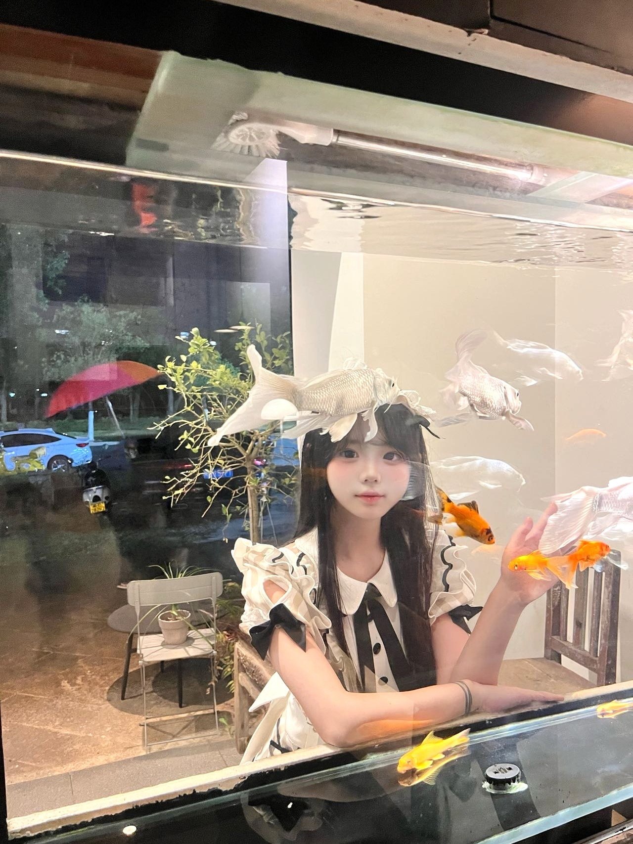 山西 运城 编号：237566 (点击复制)
➡️ 