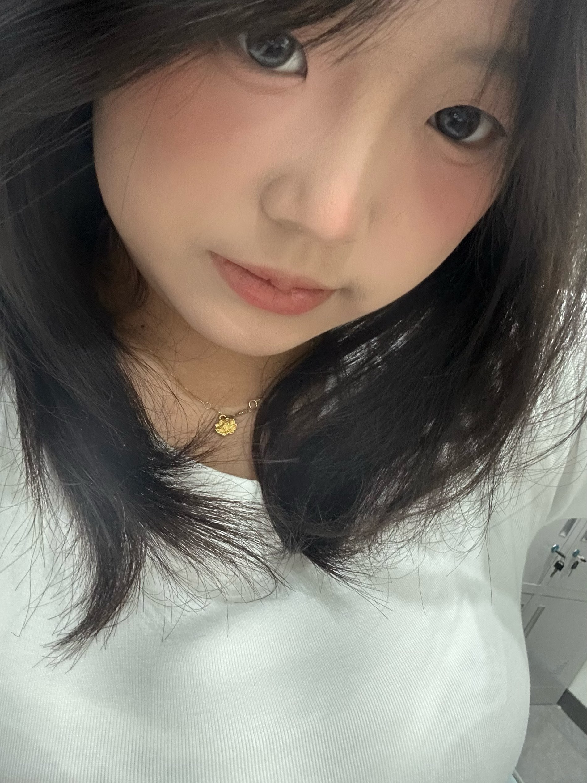 山西 临汾 编号： 016240 （260911）

