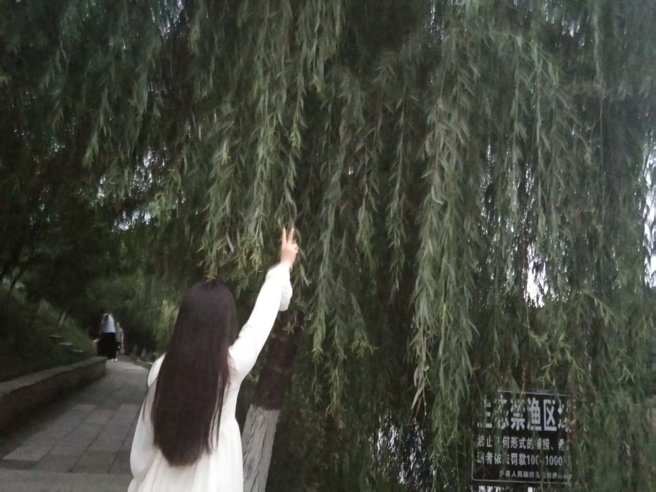 四川 成都 编号：072848 (点击复制)
➡️ 