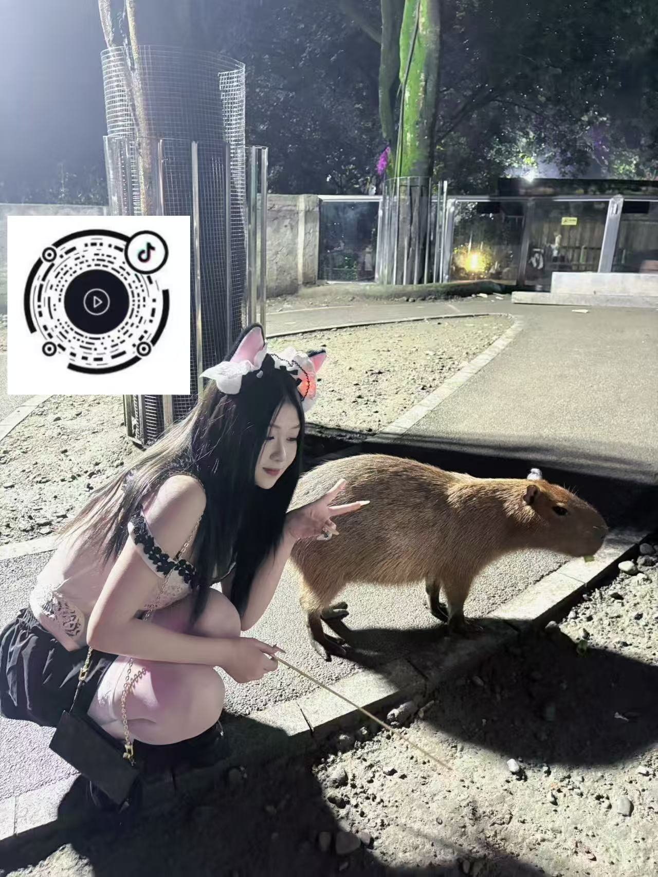 四川 成都 编号：622464 (点击复制)
➡️ 