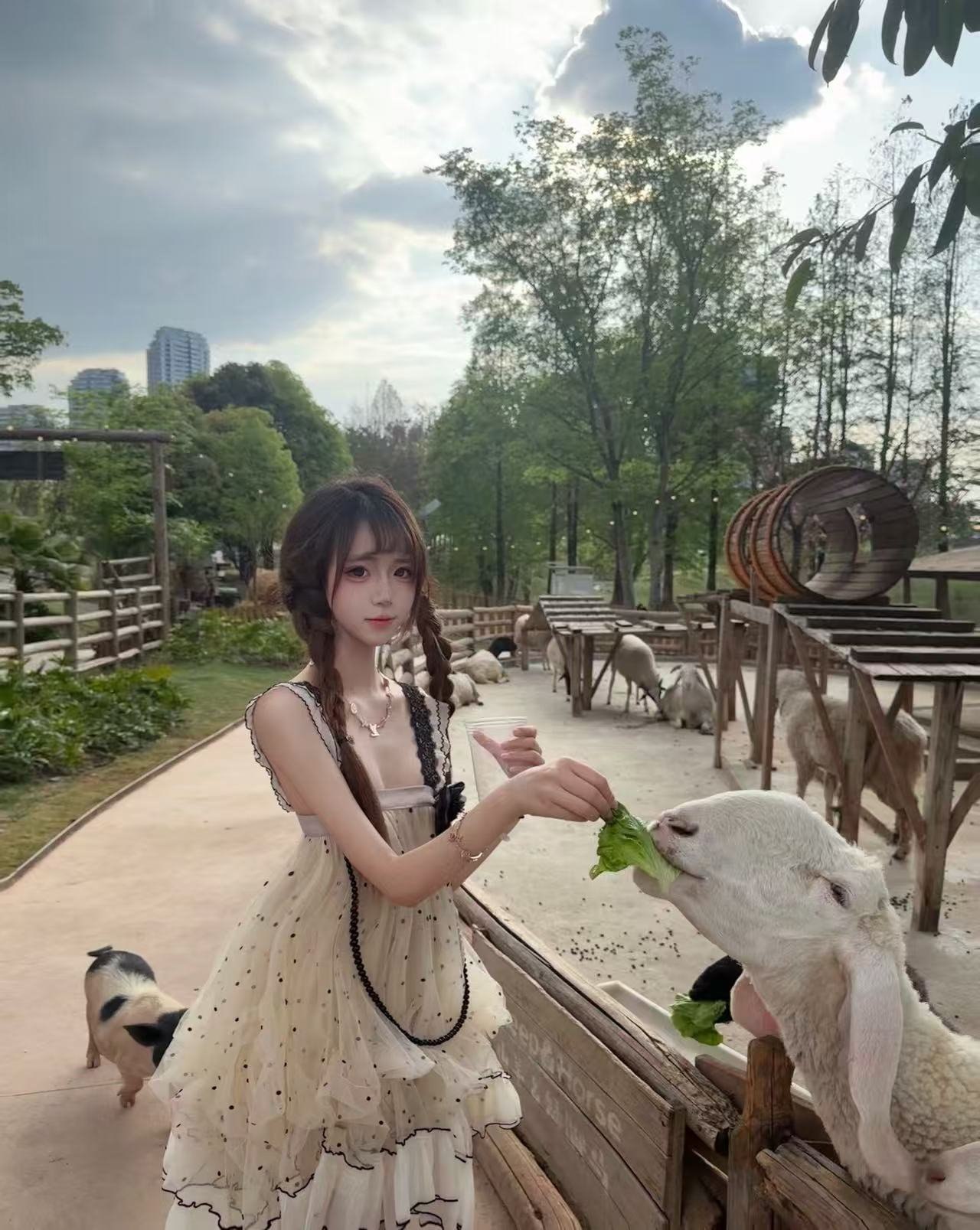 四川 成都 编号：067763 (点击复制)
➡️ 