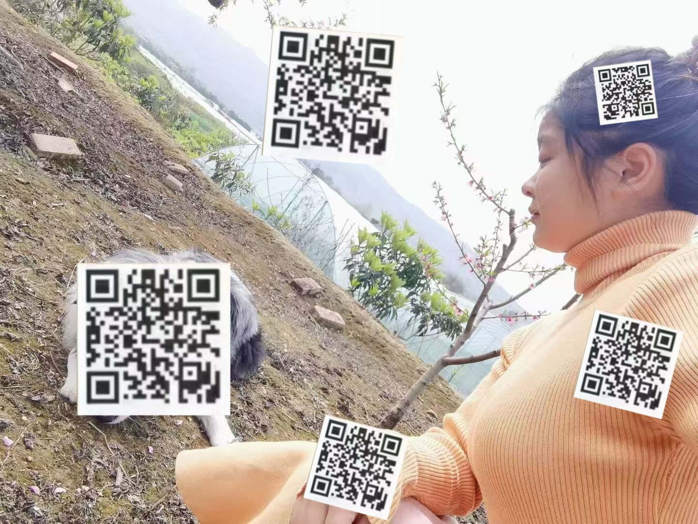 四川 成都 编号：844236 (点击复制)
➡️ 