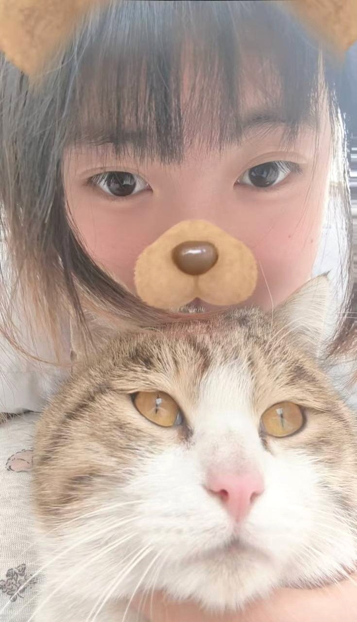 新疆 编号：823079 (点击复制)
➡️ 