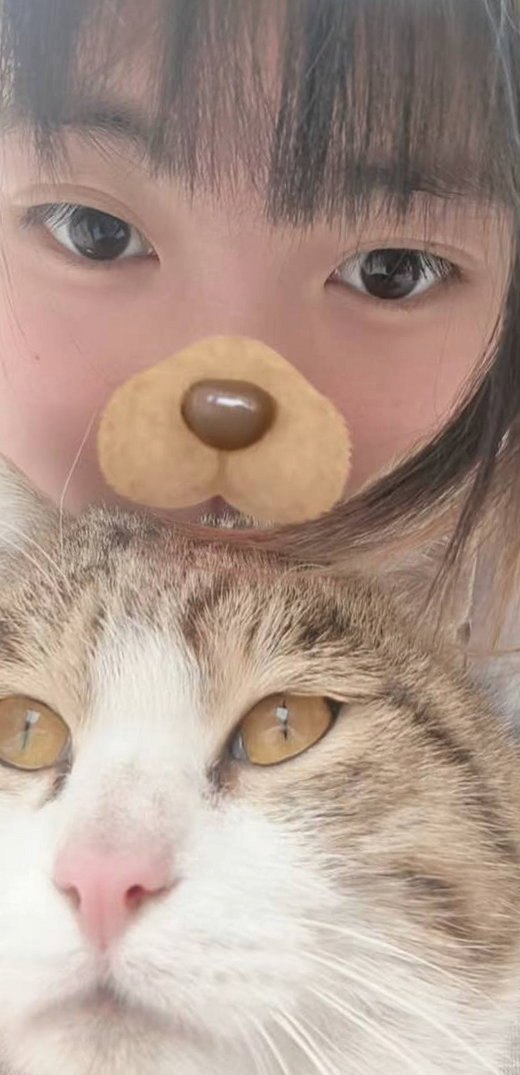 新疆 编号：016187 (点击复制)
➡️ 