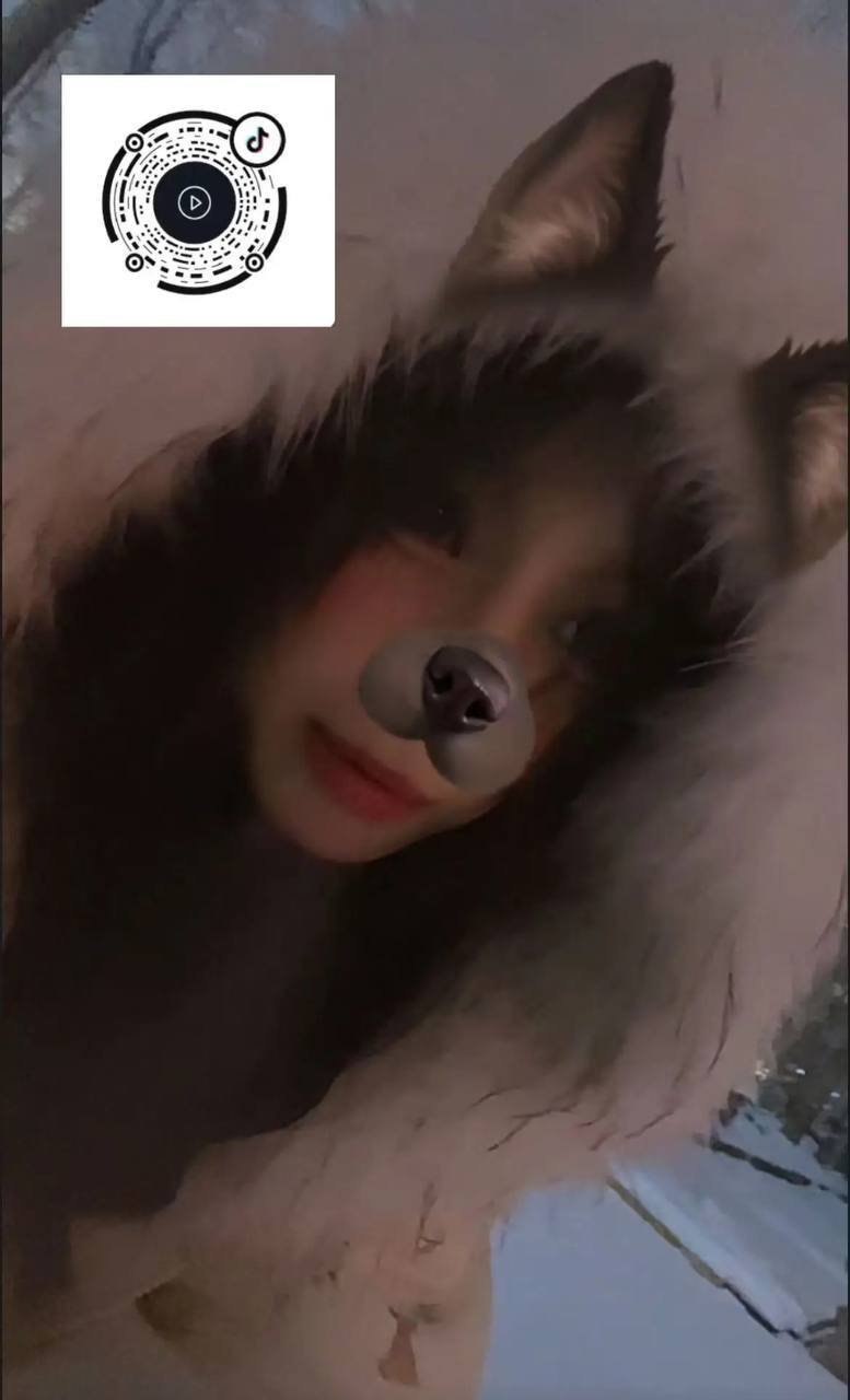 新疆 伊犁 编号： 936472 （260907）
