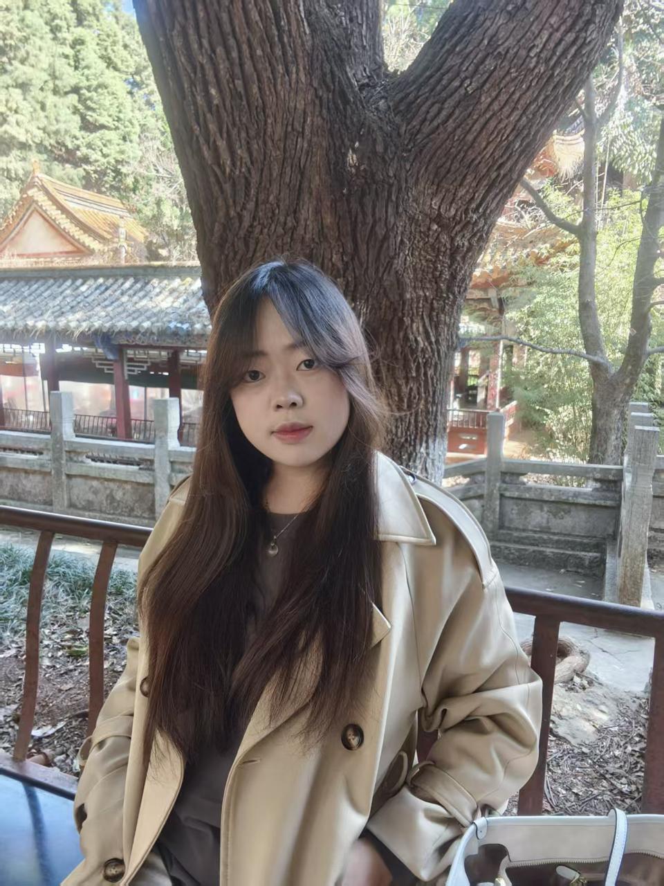 云南 普洱 编号：399368 (点击复制)
➡️ 