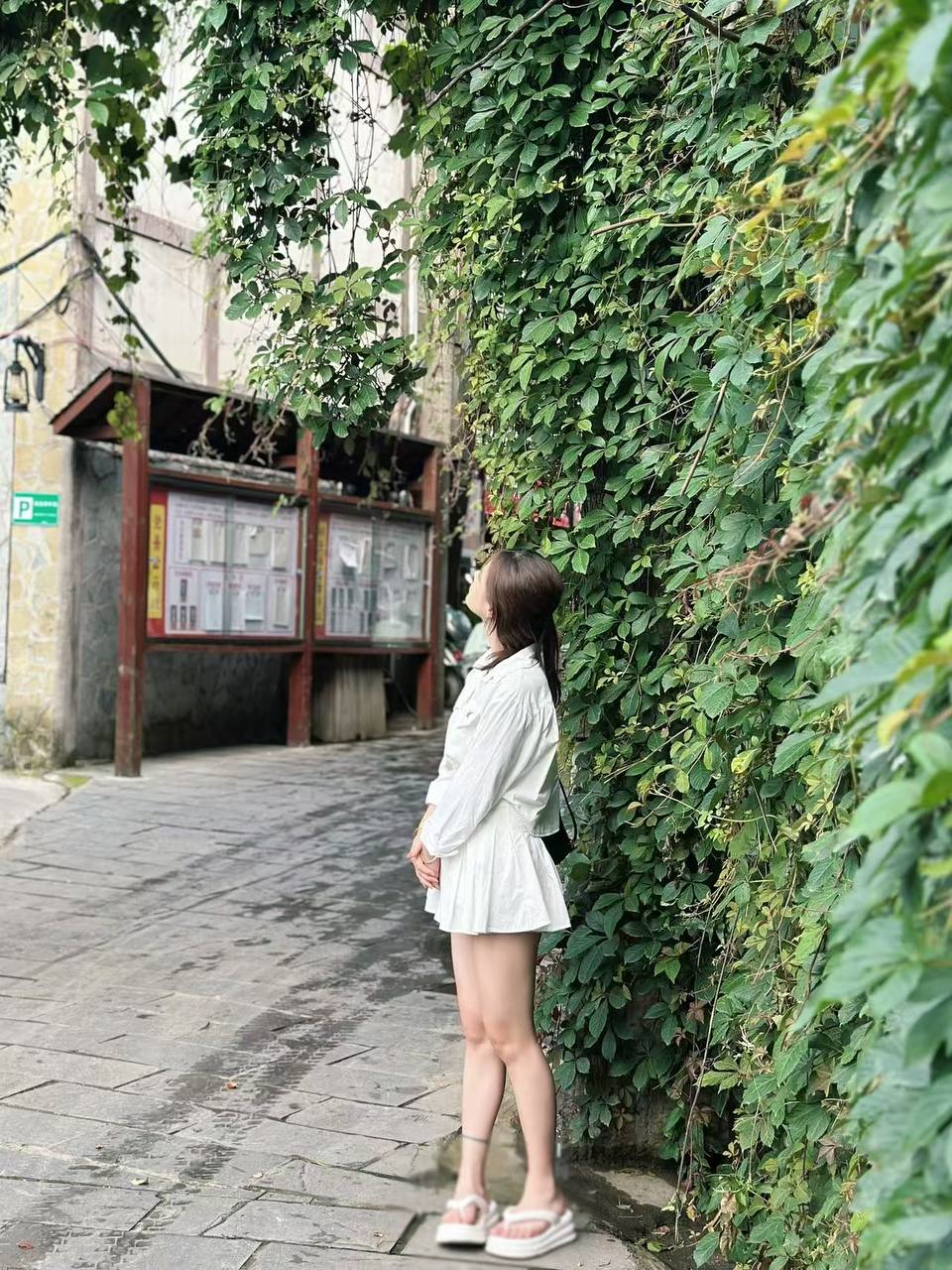 云南 文山 编号：693919 (点击复制)
➡️ 