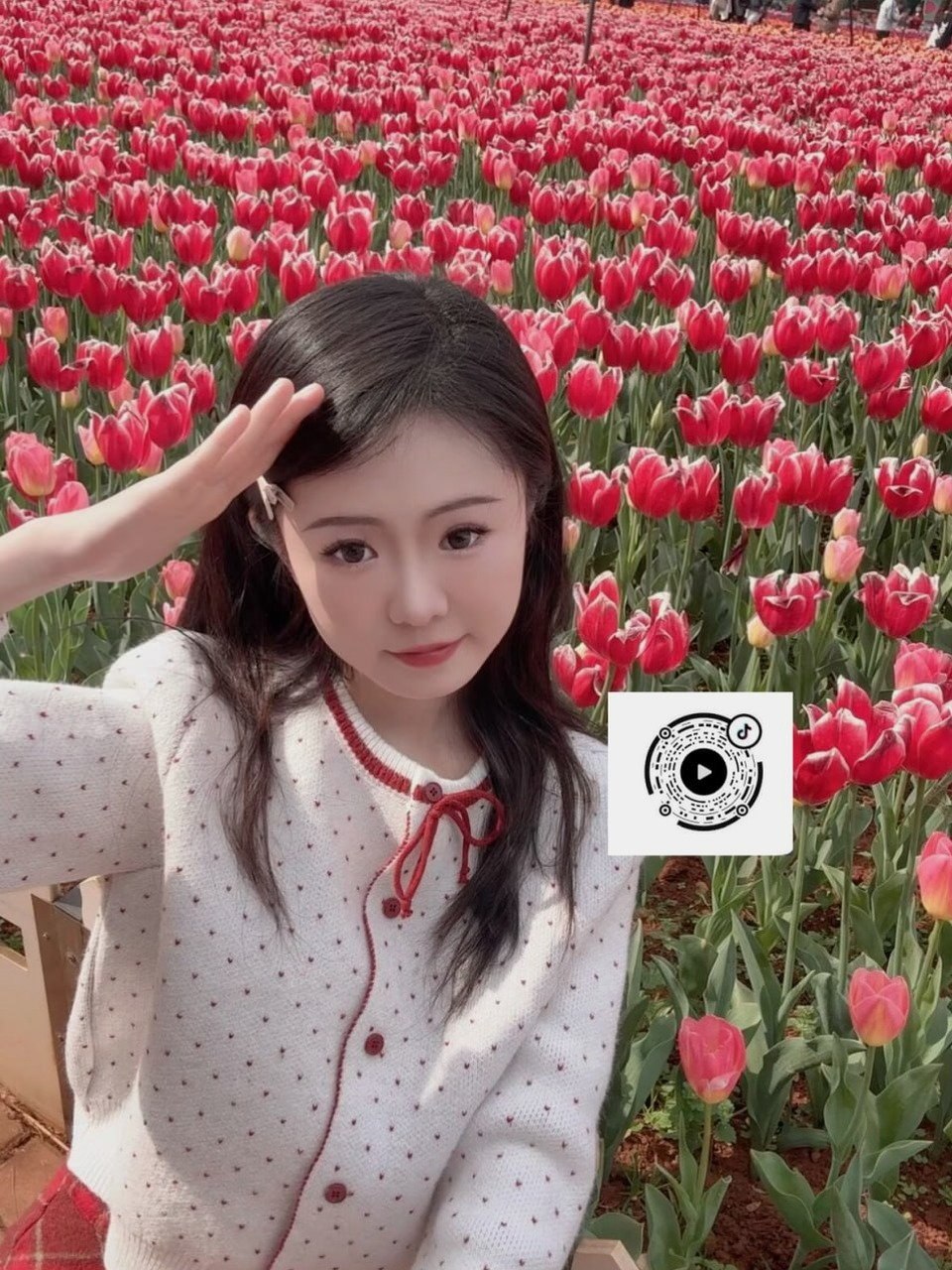 云南 编号：517687 (点击复制)
➡️ 