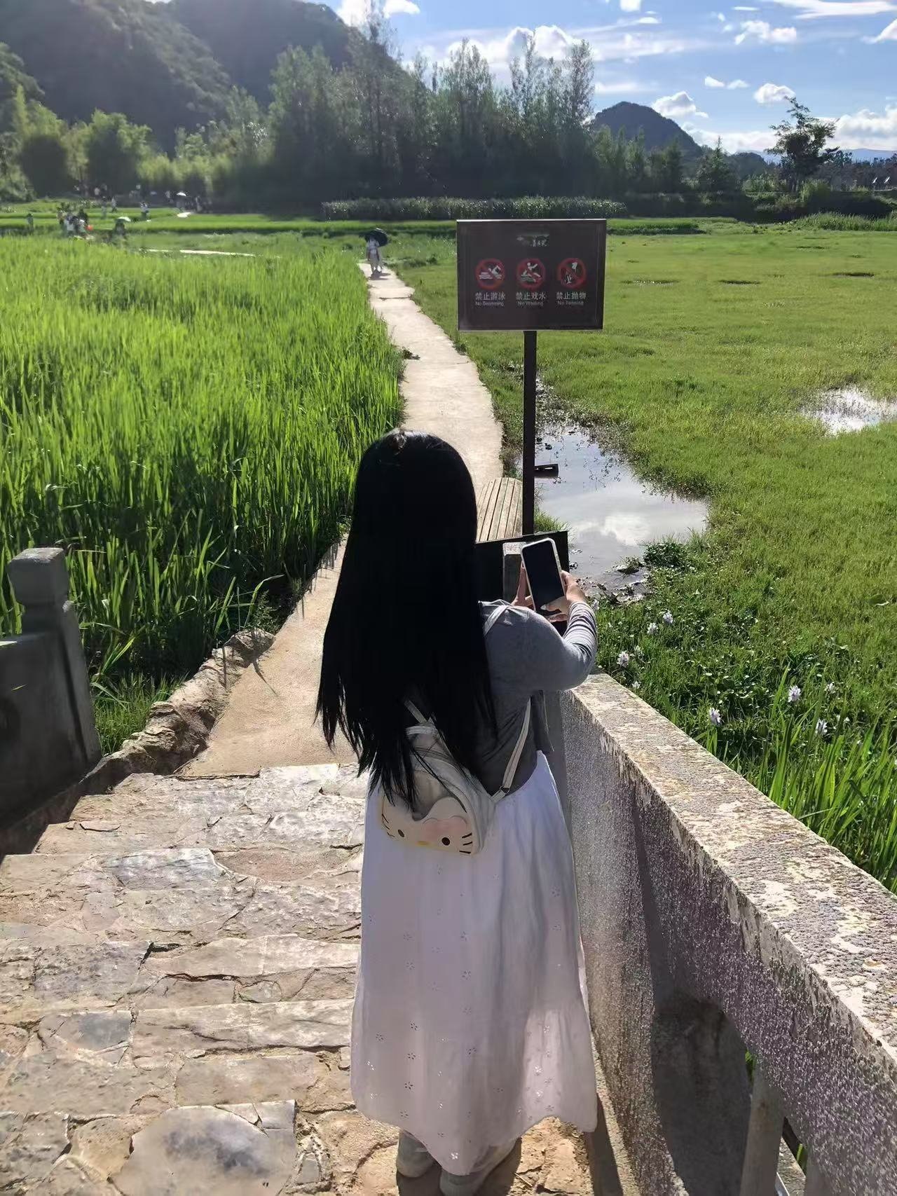 云南 文山 编号： 586886 （260830）
