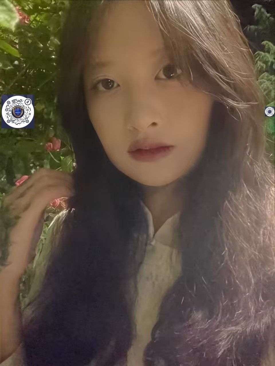 云南 编号： 669282 （260909）
