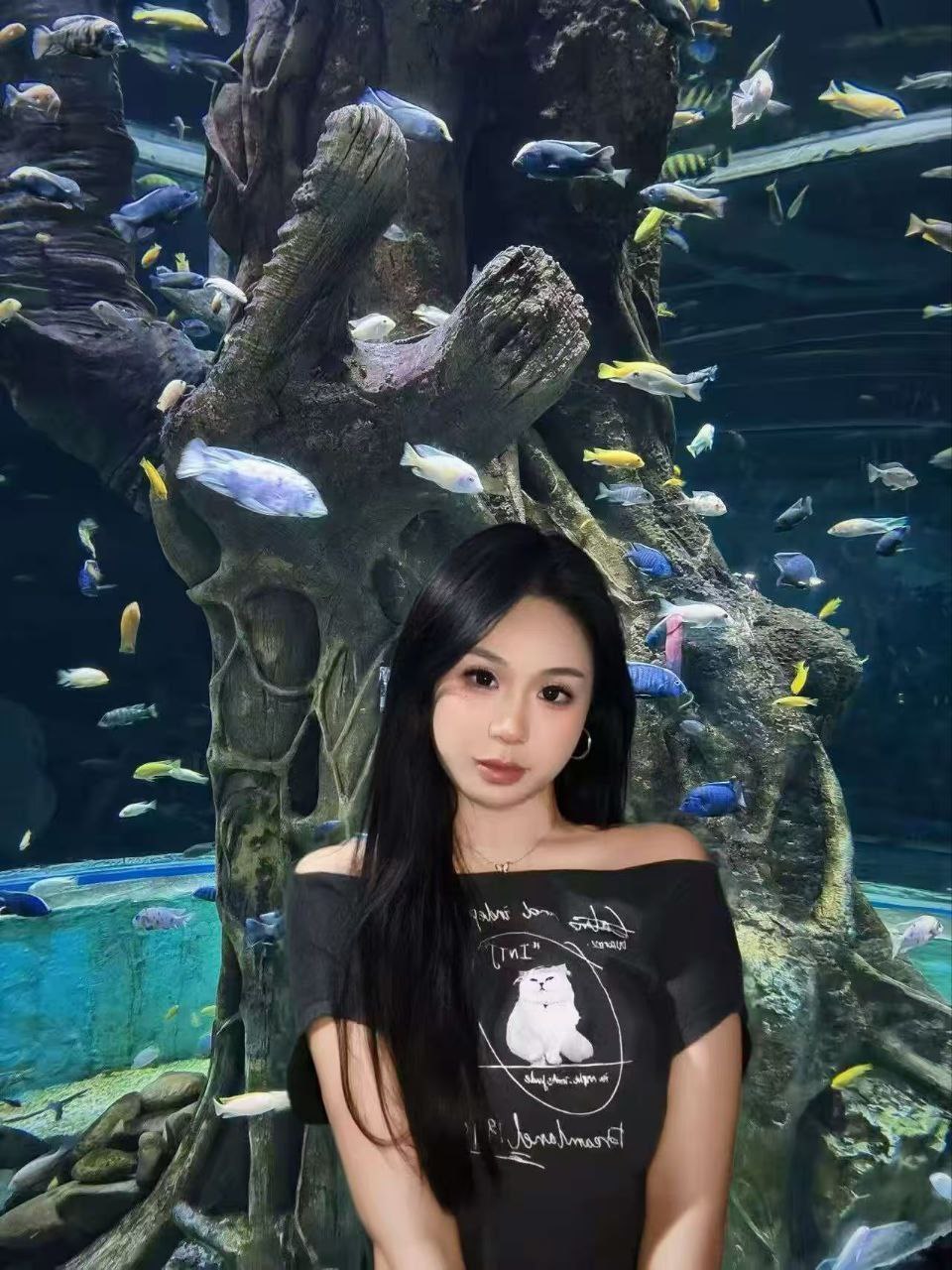 浙江 杭州 编号：528887 (点击复制)
➡️ 