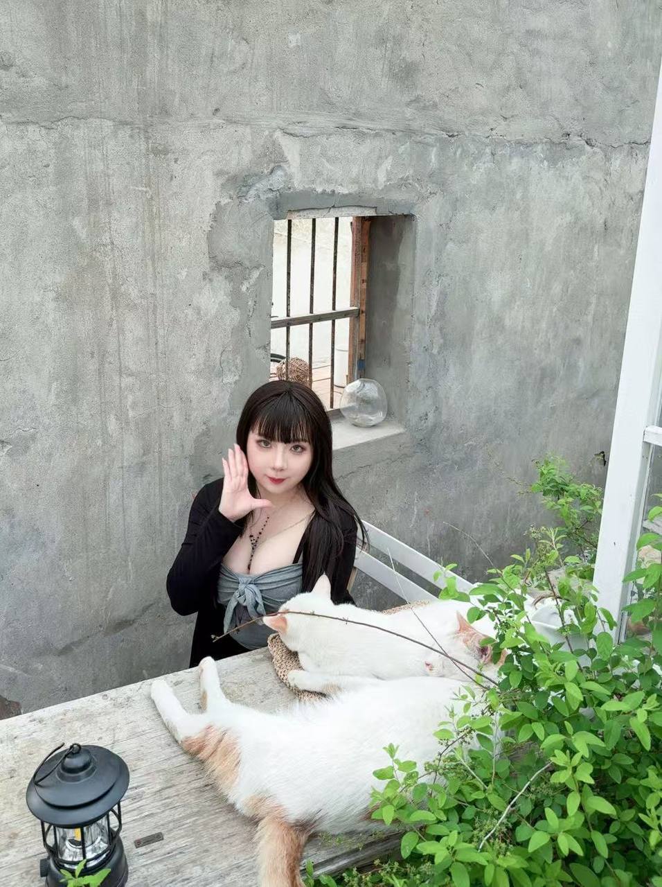 浙江 杭州 编号：856842 (点击复制)
➡️ 